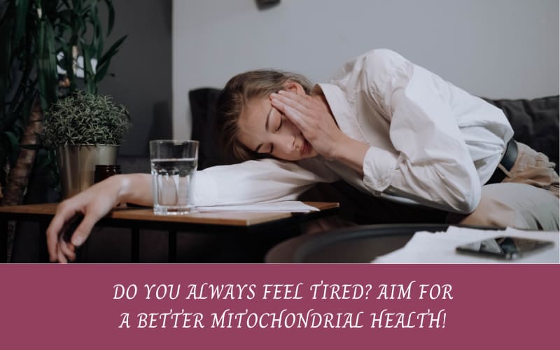 TIREDNESS AND MITOCHONDRIA’s MYSTERIOUS LINK
