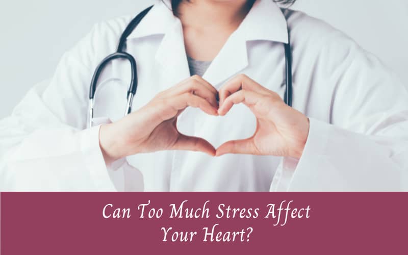 the Cardiovascular Impact of Chronic Stress
